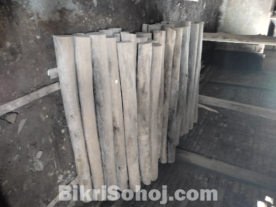 সেগুন গাছ